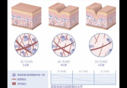水潤皮膚的秘密武器，乙酰殼糖胺和透明質(zhì)酸的甜蜜聯(lián)盟！